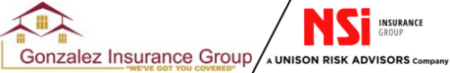 Gonzalez Insurance Group / NSI Insurance Group